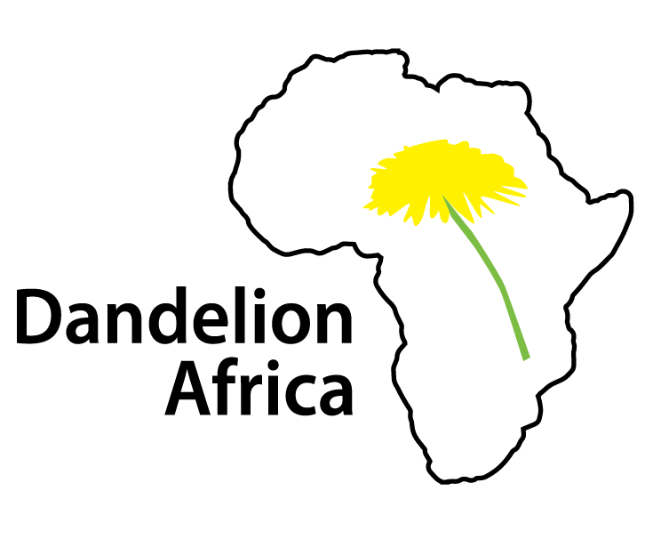 Dandelion Africa